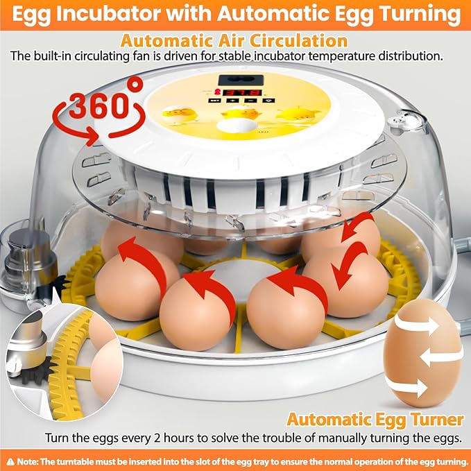 Egg Incubators for Hatching Eggs - Image 2