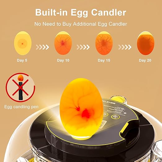 Incubator for Hatching Eggs-18 Egg Capacity, Automatic Egg Turner, Temperature - Image 3
