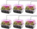 MIXC Seed Starter Kit with Grow Light, Elevated Seedling Tray Kit with by MIXC