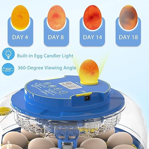 Incubators for Hatching Eggs, 18 Egg Incubator - Image 3