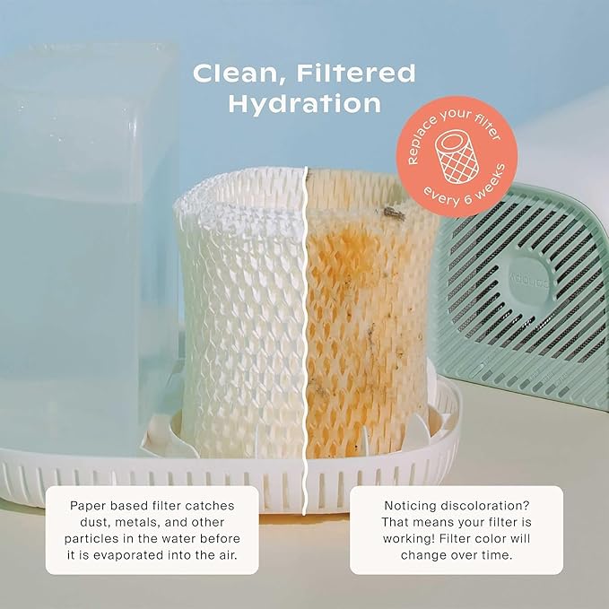 Canopy Original Bedside Humidifier Filters, Replacement Filters - Image 2