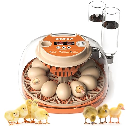 12 Egg Incubator, Automatic Turning by GROPOW