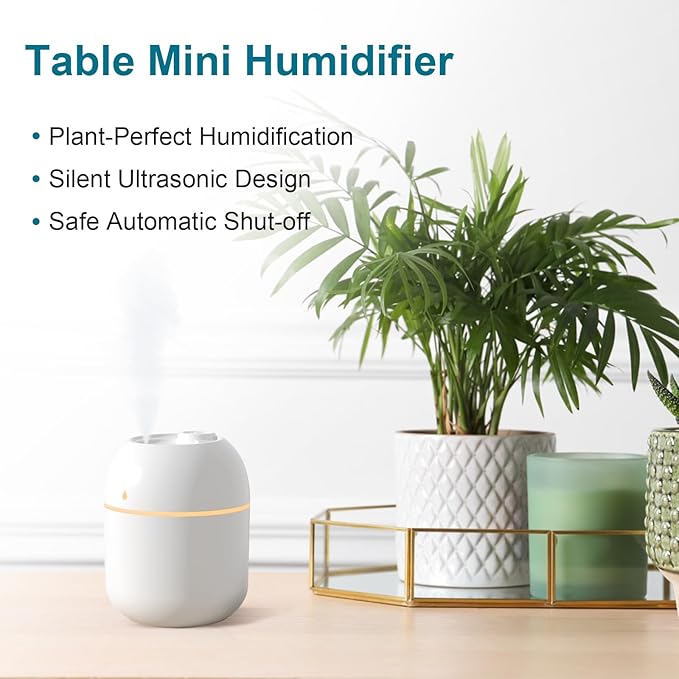 Portable Small Humidifier, USB Personal Desktop Humidifier - Image 2