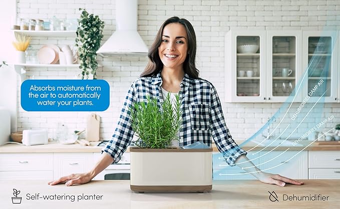 Eva-Dry Dewplanter Compact 2-in-1 Dehumidifier & Self-Watering Indoor Planter - Image 5