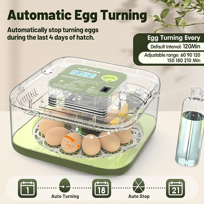 12 Egg Incubator with Automatic Egg Turning and Humidity Control, LED Egg - Image 4