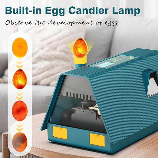 Incubator for Hatching Chicks, 10 Eggs Incubators - Image 3