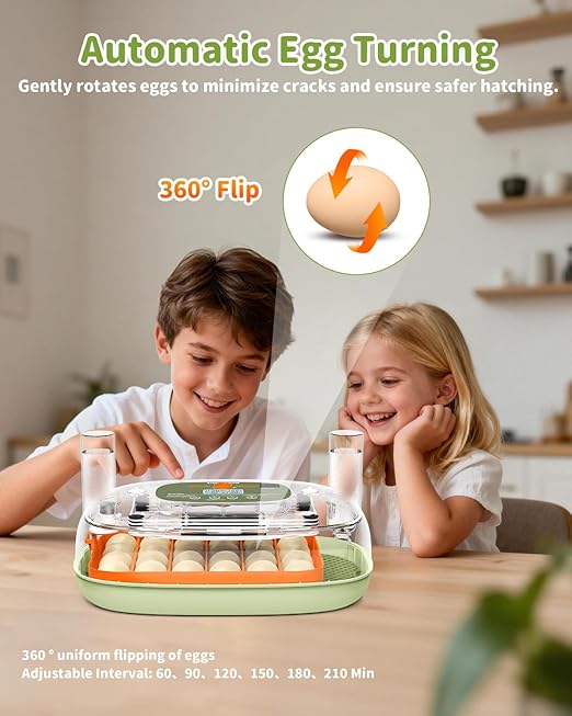Egg Incubator for 24 Chicken Eggs - Image 4