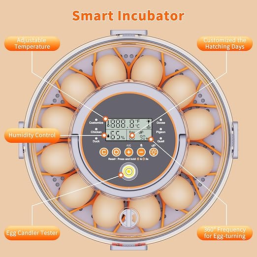 12 Egg Incubators for Hatching Eggs - Image 6