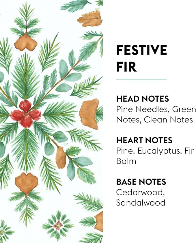 MAISON BERGER Lampe Berger Refill, 500 ml, Festive Fir | Catalytic Lamp - Image 2