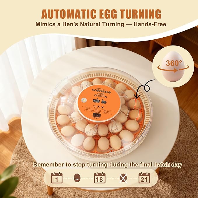 Smart Lite 30-Egg Incubator for Experienced Hands-On Hatchers, Auto Egg Turn - Image 5
