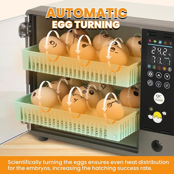 Incubators for Hatching Eggs, 24 Egg Incubator, Automatic Turning - Image 3