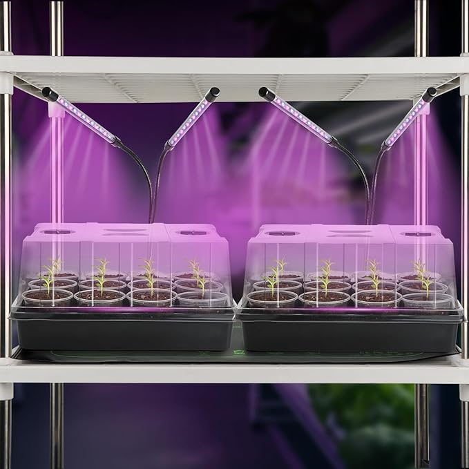 50p 3.5" Clear Nursery Pots - Image 8