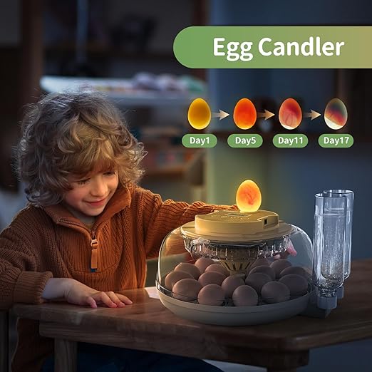 Large Capacity Egg Incubator for Hatching Eggs - Image 4