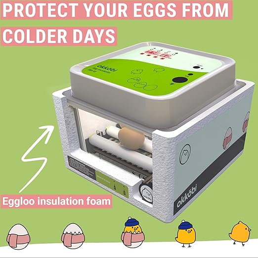 Incubators for Hatching Eggs - Image 6