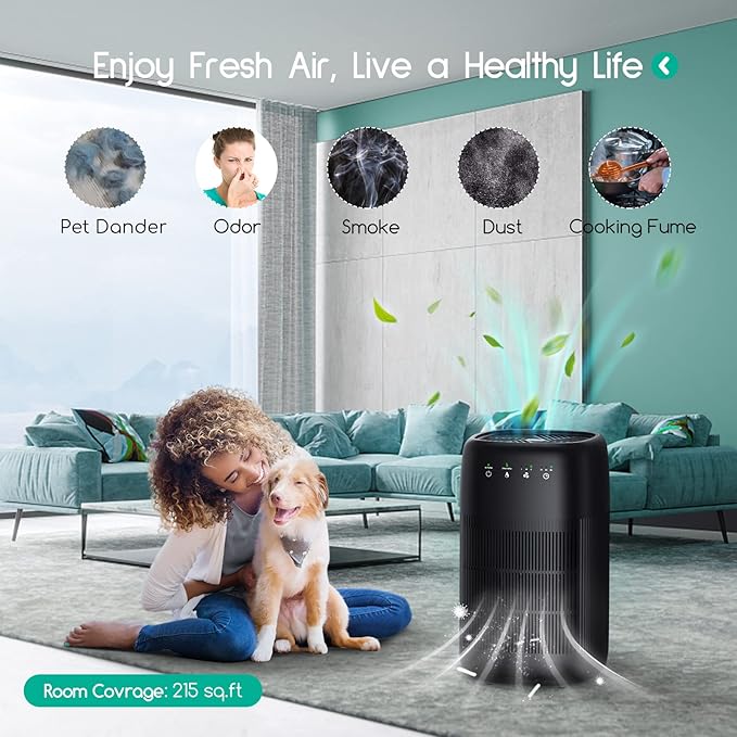 Afloia Air Purifier and Dehumidifier in 1, Air Purifier - Image 3