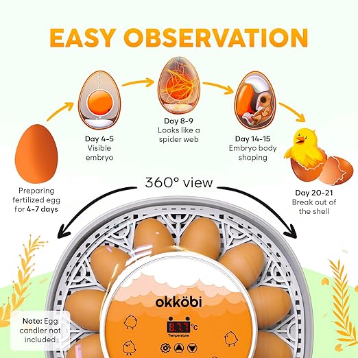 Okkobi M12 Egg Incubator with Automatic Turner and Humidity Control - Image 4