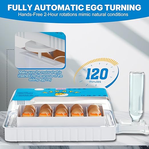 Incubators for Hatching Eggs 15-35 Eggs Incubator - Image 5