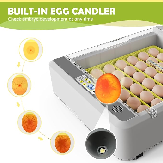 Egg Incubator for Hatching Chicks, 36 Eggs Automatic Turner - Image 5