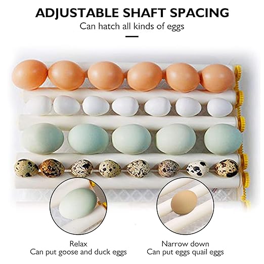 Egg Incubator, Egg Incubator - Image 5