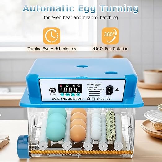 Automatic Egg Incubator 16 Egg Incubators - Image 6
