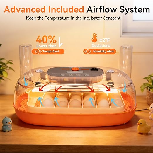 Incubators for Hatching Eggs, 24 Egg Incubator, Automatic Egg Turner - Image 3