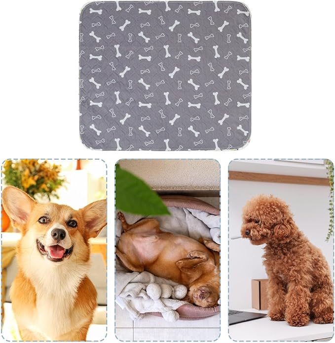 Pee Pads - Fast Absorbent Pet Training Mat, 1 Piece Reusable Washable Absorbent - Image 6