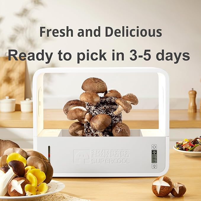 Mushroom Grow Box with LCD Display and LED Grow Light, Smart Mushroom Growing - Image 6