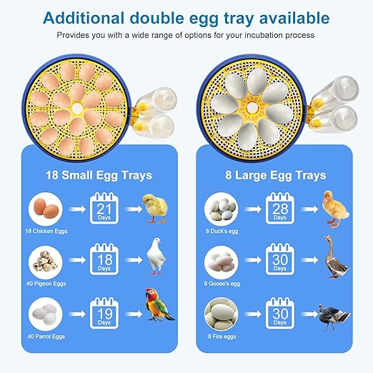 Automatic Egg Incubator with Auto-Turning & Humidity Control, 18 Eggs Capacity - Image 4