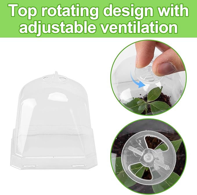 EBaokuup 50 Pcs Clear Plant Nursery Pots - Image 3
