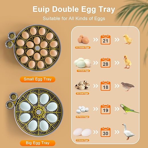 Incubator for Hatching Eggs-18 Egg Capacity, Automatic Egg Turner, Temperature - Image 5