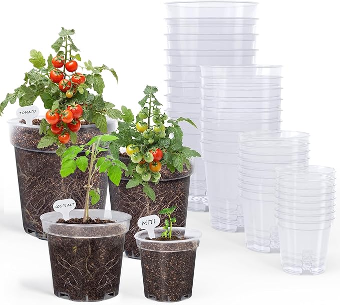 homenote Clear Nursery Pots for Plants, 3/4/5/6.7 Inch Plant Pot for Planting by HOMENOTE