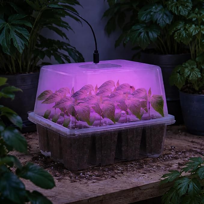 Bonviee 5 Packs Seed Starter Tray - Image 8