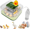 2026 New Auto 12-Egg Incubator for Beginners, Automated Incubation, by ZEMIROCHARGE