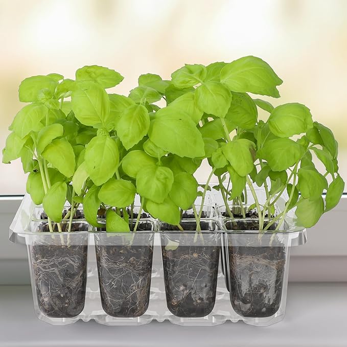 MIXC 10 Packs Seed Starter Tray Seed Starter Kit - Image 7