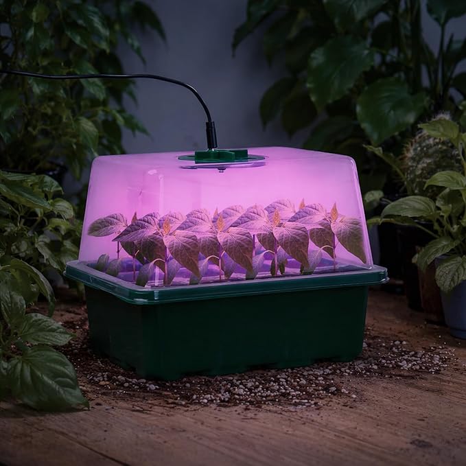 Bonviee 5 Packs Seed Starter Tray - Image 8