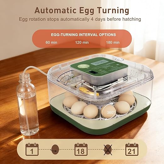 4th Gen – 12 Egg Fully Automatic Incubator, 2026 Upgraded Design, Intelligent - Image 7