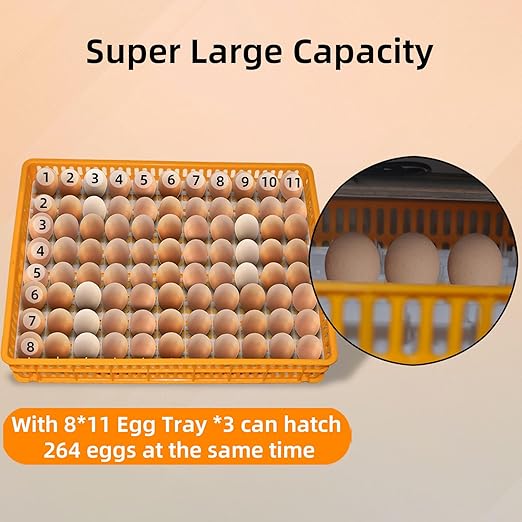 XKV 264 Egg Incubator with Automatic Egg Turning, Temperature Control and - Image 6