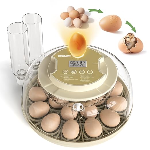 Large Capacity Egg Incubator for Hatching Eggs by Unknown