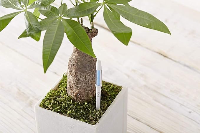 Sustee Aquameter, Plant Soil Moisture Sensor - Image 5