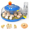 Incubator for Hatching Eggs by Unknown