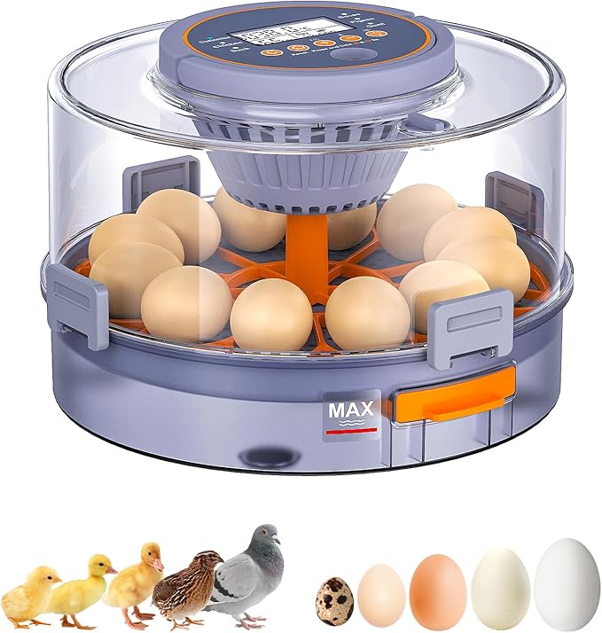 Incubators for Hatching Eggs, 12 Chicken Incubator by Unknown