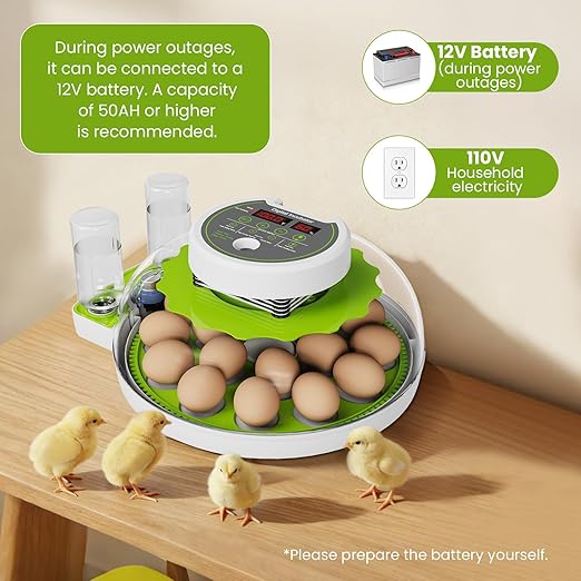 18-Egg Incubator incubators for Hatching Eggs - Image 3