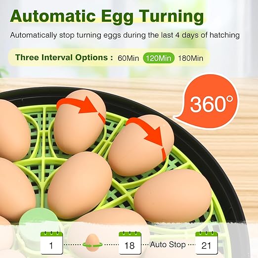 18 Egg Incubators for Hatching Eggs, Egg Incubator - Image 4