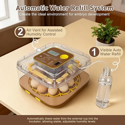 4th Gen - 12 Egg Fully Automatic Incubator, 2026 Upgraded Design, Intelligent - Image 4