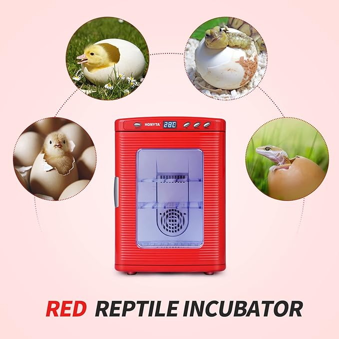RYFT Incubators for Hatching Eggs, 25L Portable Reptile Scientific Lab Incubator - Image 6