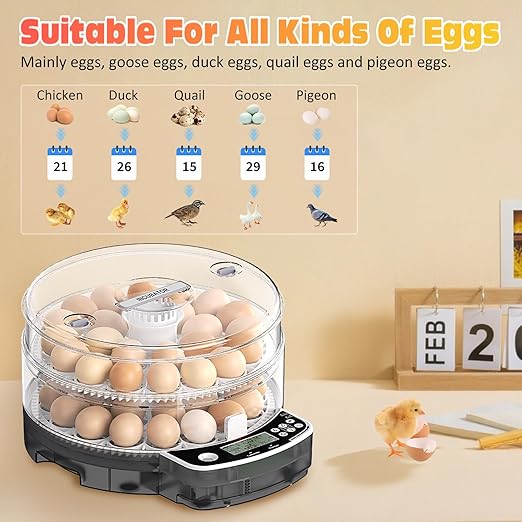 48 Egg Incubator with Automatic Egg Turning and Humidity Control, Intelligent - Image 3