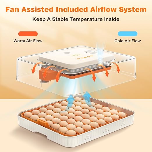 56 Egg Incubator for Hatching Eggs, Egg Incubators - Image 3