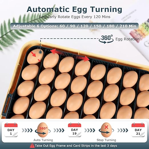 Incubators for Hatching Eggs, 56 Eggs Incubator - Image 7
