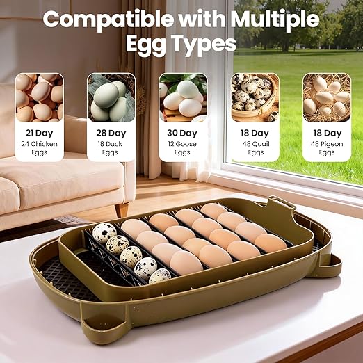 Incubators for Hatching Eggs, 24 Eggs Capacity - Image 7