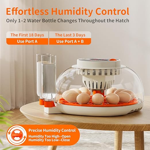 Egg Incubator with Temperature and Humidity Control, Automatic Egg Turning - Image 4